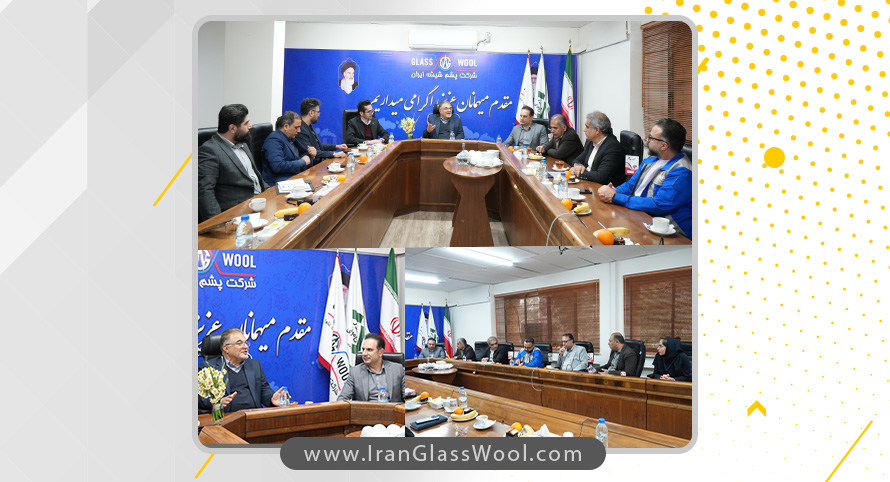 AzwCmsCore.Extend.Fields.StringField